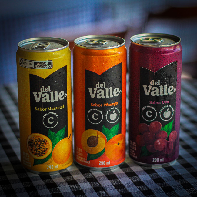 Suco Del Valle lata 290 ml.